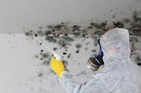  Ken Caryl, CO Mold Remediation Pros